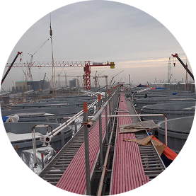 All Projects