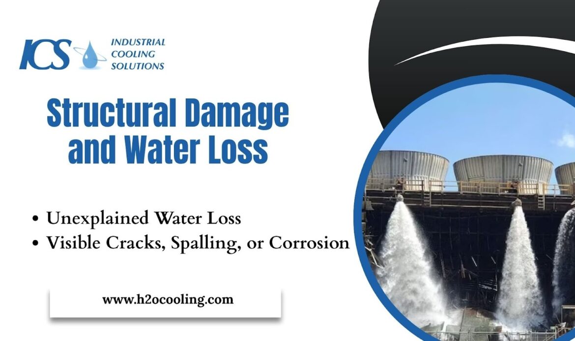 Category 3: Structural Damage and Water Loss