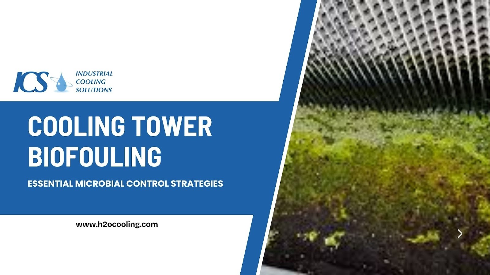 Cooling Tower Biofouling