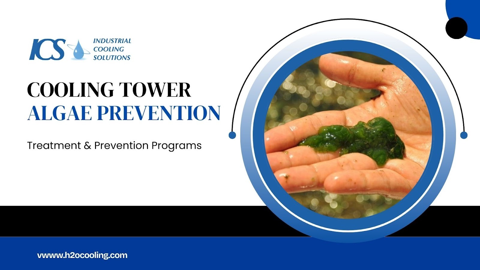 Cooling Tower Algae Prevention