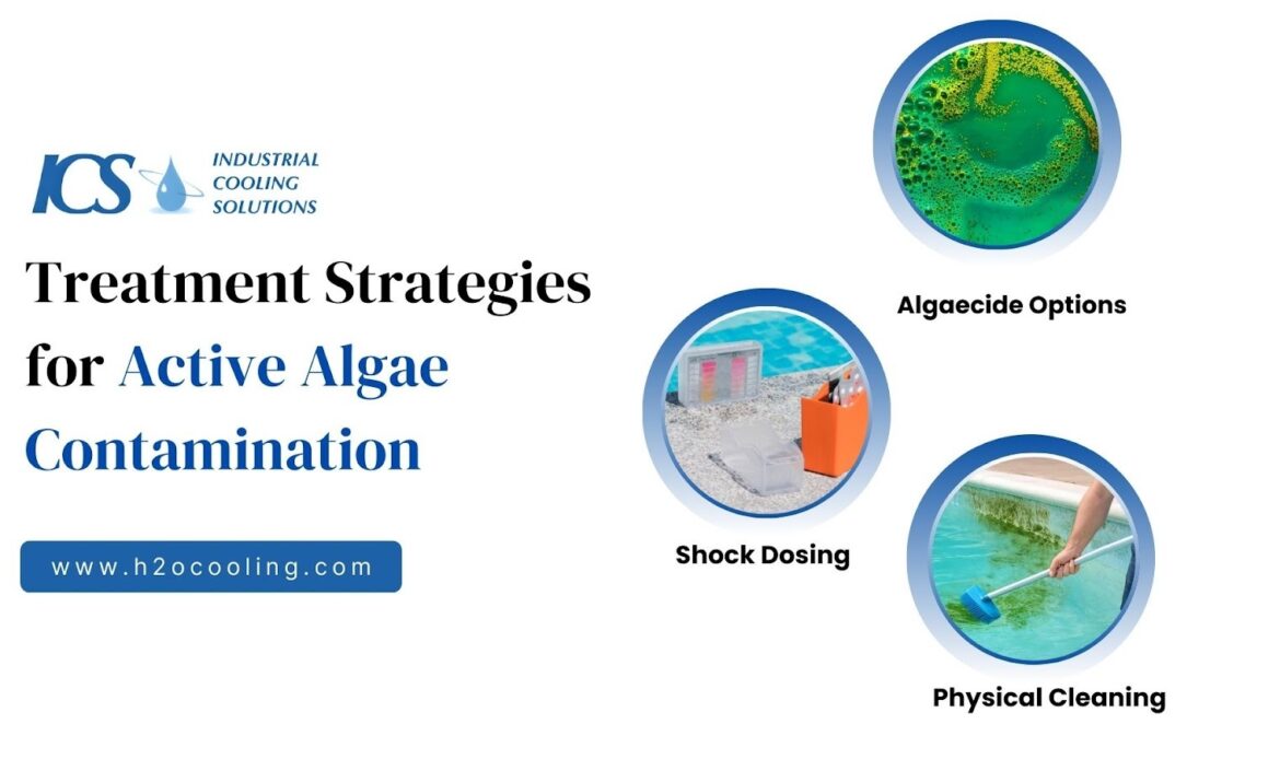 Cooling Tower Algae Prevention: A Complete Treatment Guide